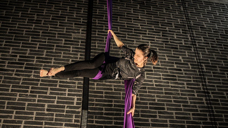 Irish Aerial Creation Centre Artist on Purple Silk