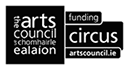 The Arts Council Funding sponsors the Irish Aerial Creation Centre